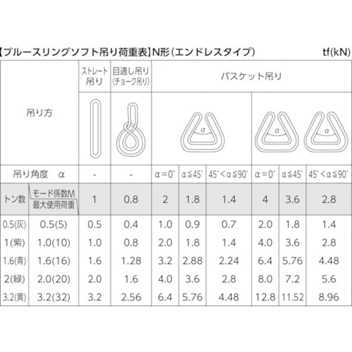 【CAINZ-DASH】テザック ブルースリングソフトＮ形（エンドレスタイプ）荷重３．２ｔ　全長５ｍ（ＪＩＳ規格品） TBSN3.2TX5M【別送品】