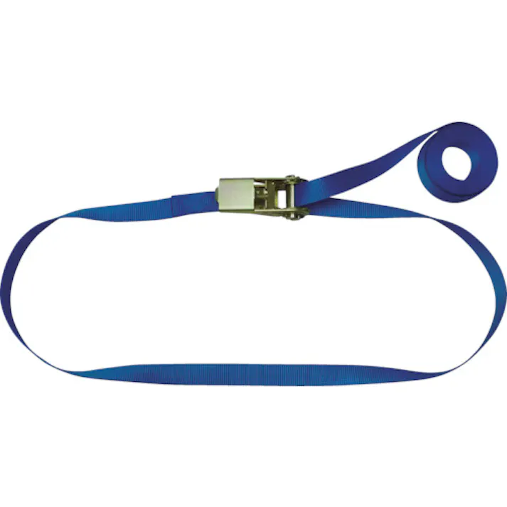 【CAINZ-DASH】テザック ラッシングベルト(ベルト荷締機)ラチェットバックル式エンドレスタイプ R05N040-000A【別送品】