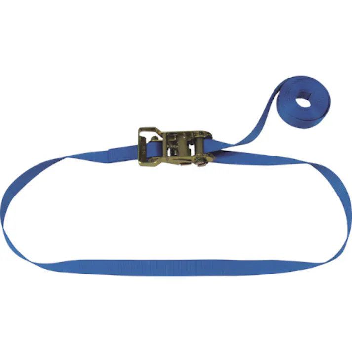 【CAINZ-DASH】テザック ラッシングベルト(ベルト荷締機)ラチェットバックル式エンドレスタイプ R10N040-000A【別送品】