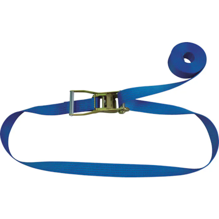 【CAINZ-DASH】テザック ラッシングベルト(ベルト荷締機)ラチェットバックル式エンドレスタイプ R50N060-000A【別送品】