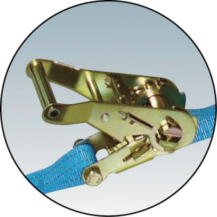 【CAINZ-DASH】テザック ラッシングベルト ベルト荷締機ラチェットバックル式両端ナローフック付 R50KAE010-AE050A【別送品】