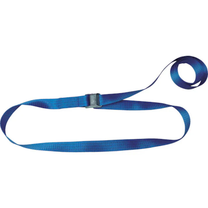 【CAINZ-DASH】テザック ラッシングベルト(ベルト荷締機)カムバックル式エンドレスタイプ C15N040-000A【別送品】