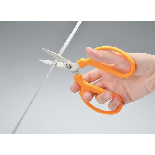 ベンジャミンさん専用　カツラの木　/136 Amazon | ジェット・イノウエ(Jet Inoue) ポンプヤンキーホーン