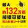 アース製薬 ダニがホイホイ ダニ捕りシート 3枚