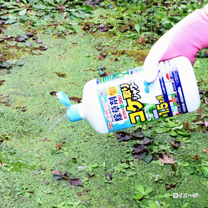 アース みんなに優しい除草剤 おうちの草コロリ コケ取りシャワー 1000ml