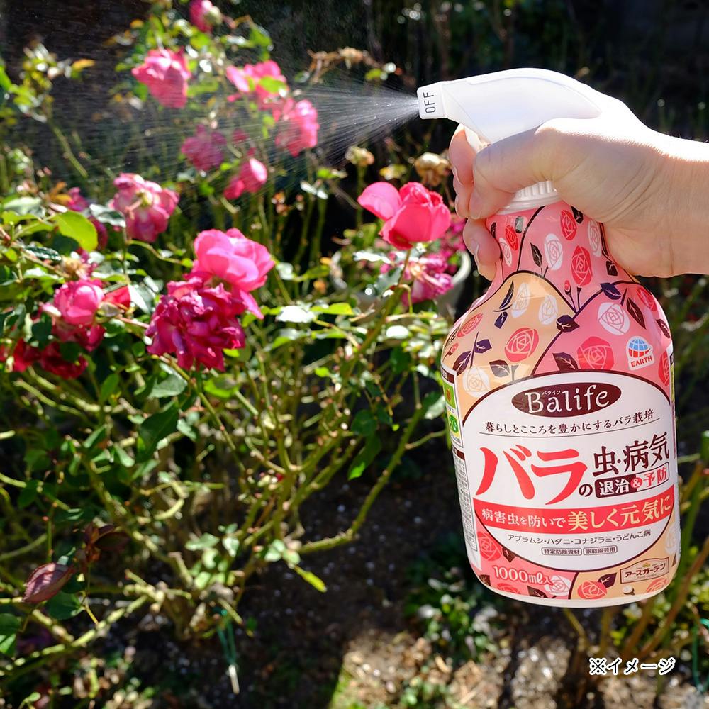 病気がみえる 2,3,4,5,7,8,9,10,11,13,14巻　バラ売り可 FCATIB70042.jpg-150.jpg