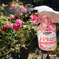 アース Balife バライフ バラの虫･病気 退治＆予防 1000ml