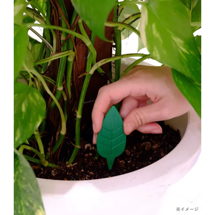 アース BotaNice 土からわいたコバエ退治 粘着剤タイプ 4個入