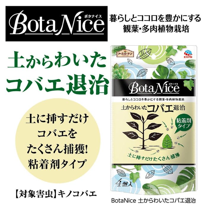 アース BotaNice 土からわいたコバエ退治 粘着剤タイプ 4個入