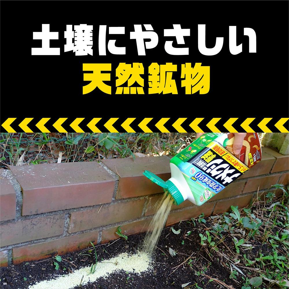 ナメクジ殺虫 粒状タイプ Amazon.co.jp: 住友化学園芸 殺虫剤 ナメトックス粒剤 250g