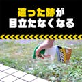 アース ナメクジ撃滅 スプレータイプ 500ml