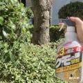 アース クモの巣撃滅 1000ml(販売終了)