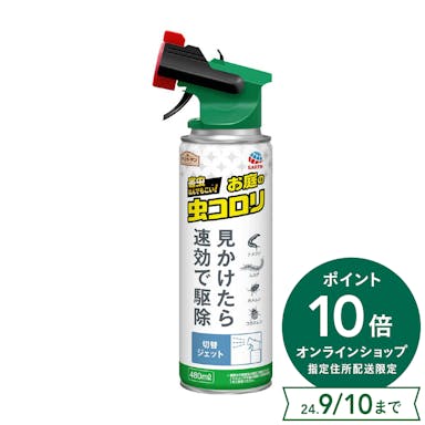 アース お庭の虫コロリ 速攻撃滅ジェット480ml