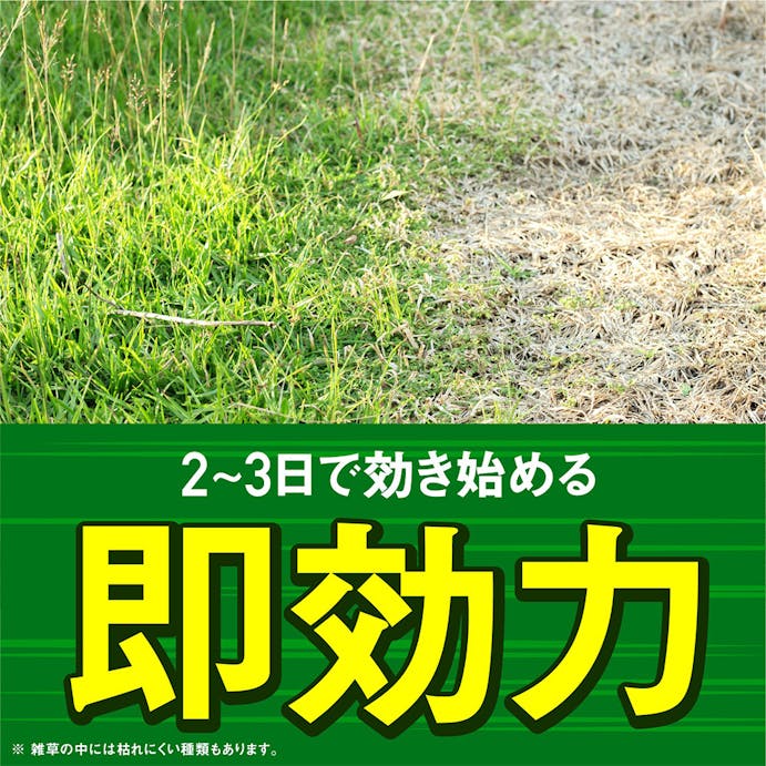 【送料無料】アース 根まで枯らす草消滅 ジョウロタイプ 4L