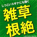 【送料無料】アース 根まで枯らす草消滅 ジョウロタイプ 4L