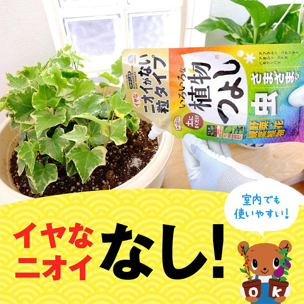 専用です。SUKA ヨガマット 緑の植物デザイン 専用です。SUKA ヨガマット 緑の植物デザイン 専用です。SUKA