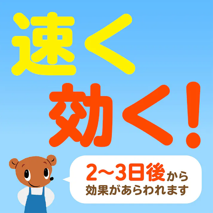 アース おうちの草コロリ 粒タイプ 3kg