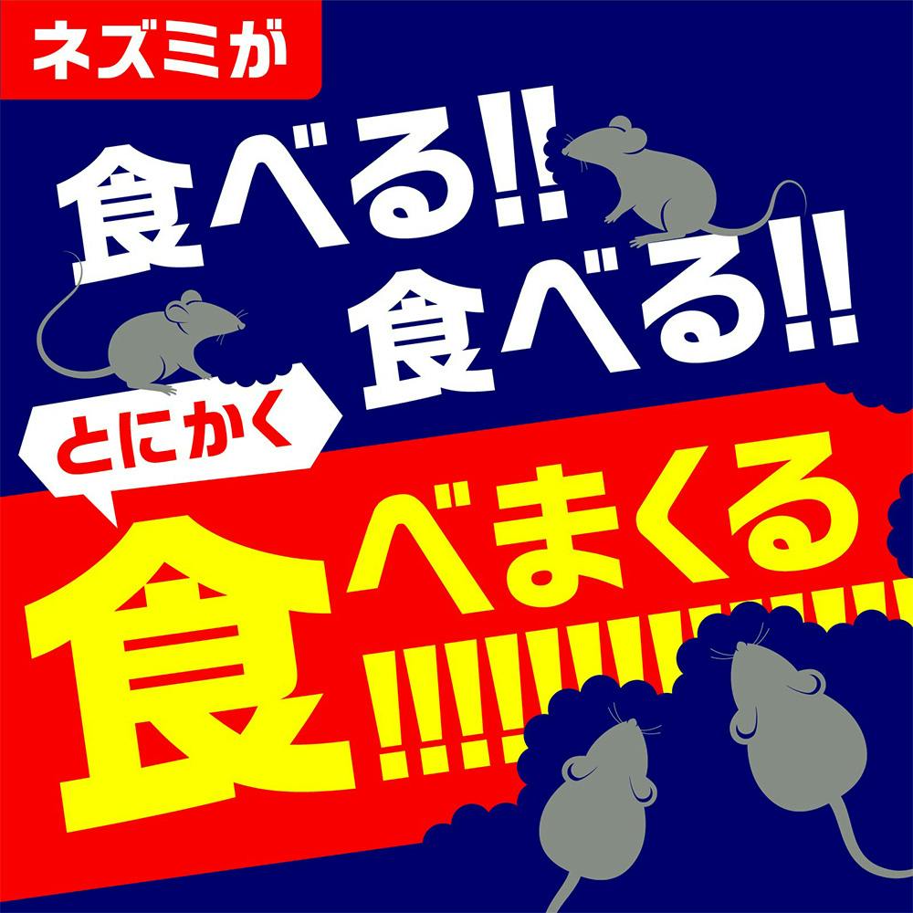 まとめ）アース製薬 強力粘着ネズミホイホイ 2セット入り 送料無料！