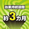 アース ムカデ撃滅 置くタイプ 1個入