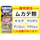 アース製薬 ムカデコロリ 駆除エサ剤 8個×2個パック
