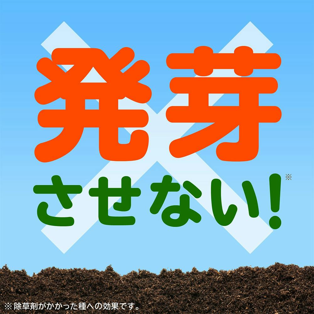 アース みんなにやさしい除草剤 おうちの草コロリ スプレー 1000ml