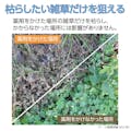 アース みんなにやさしい除草剤 おうちの草コロリ ジョウロヘッド 2L