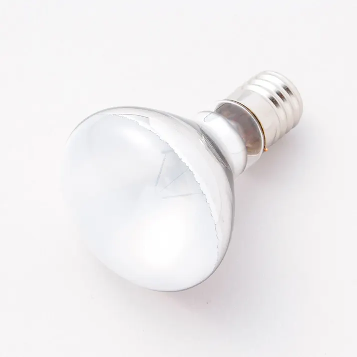 エルパ ELPA ミニレフ球 30W E17 フロスト G-90H