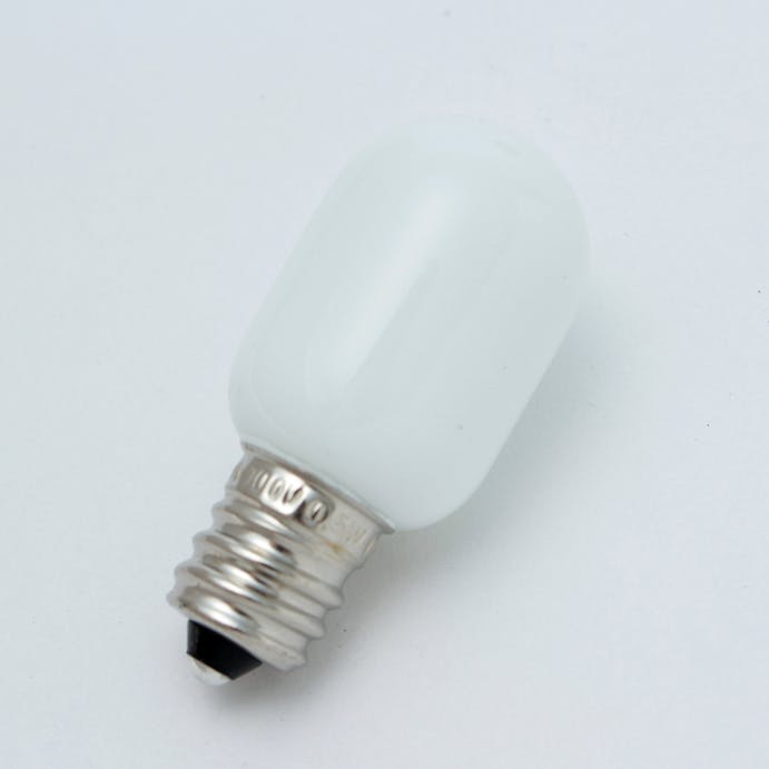 朝日電器 エルパ ELPA LEDナツメ球 E12 昼白色 LDT1N-G-E12-G100