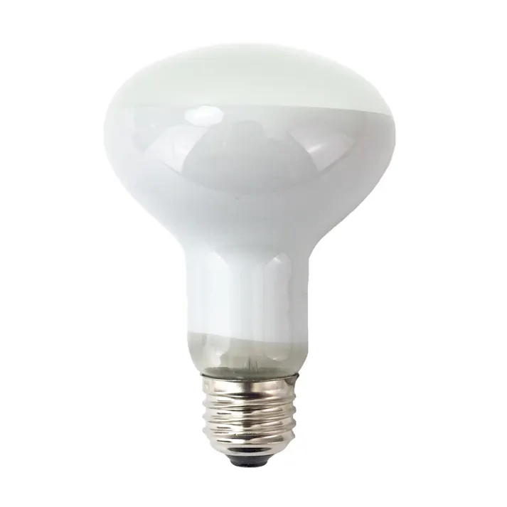 エルパ ELPA 長寿命レフランプ 100W ERF110V100W-L