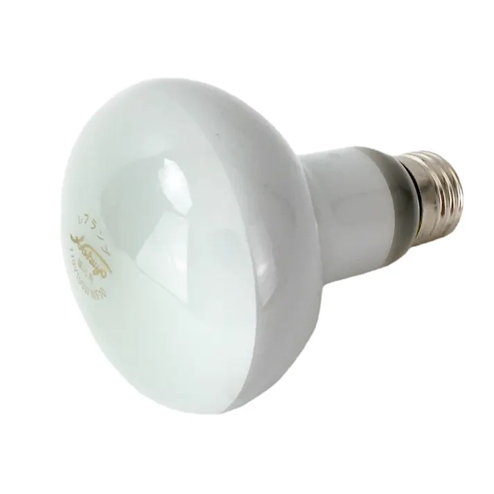 エルパ ELPA 長寿命レフランプ 100W ERF110V100W-L