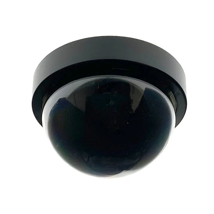 エルパ ELPA ダミーカメラドーム型 DC-002 防犯 センサー感知 自動で赤色LED点滅 乾電池式(単三形アルカリ乾電池2個) 配線不要