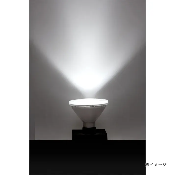 エルパ LED電球 ビーム球形 E26 860ルーメン 昼光色 防水 LDR8D-M-G060