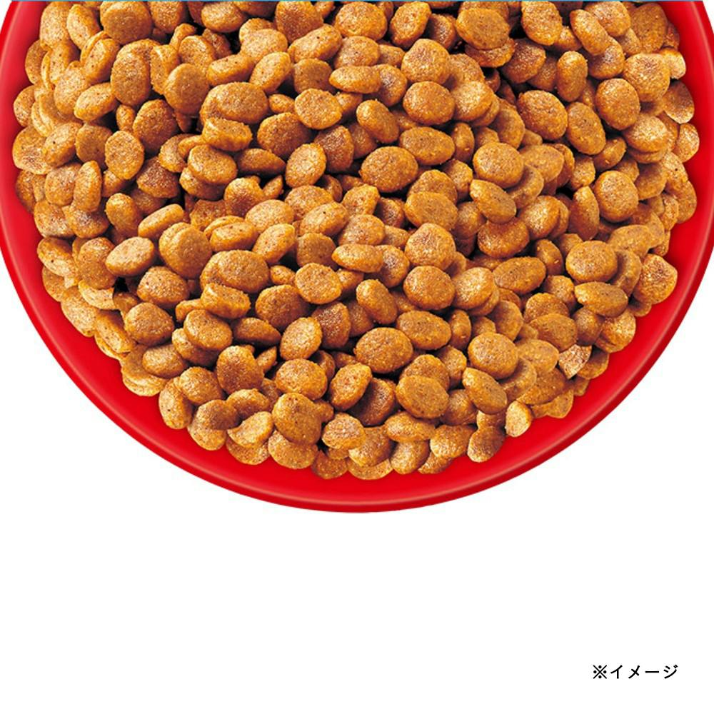 CIAO クランキー まぐろ・しらす味 700g | キャットフード 通販