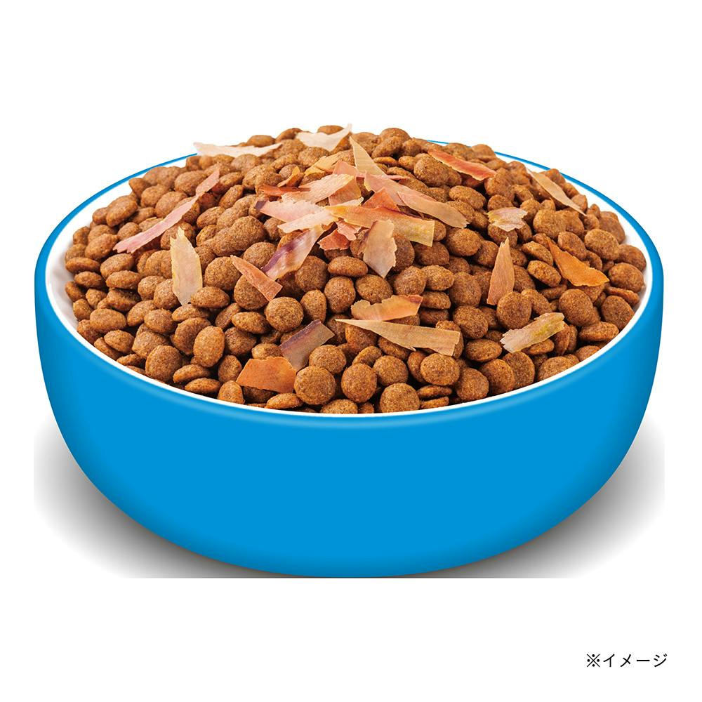 いなば CIAO すごい乳酸菌 クランキー かつおミックス 500g