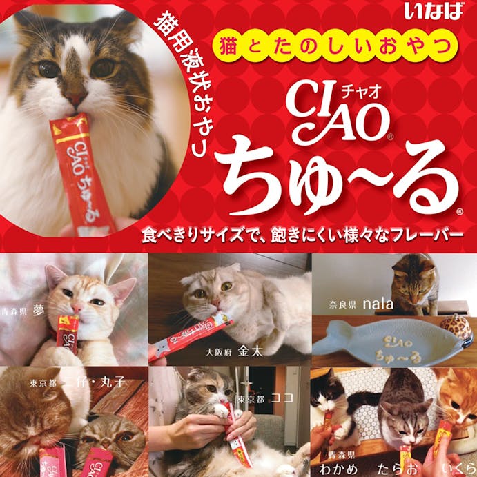 チャオちゅ～るささみ・チキンミックス40本