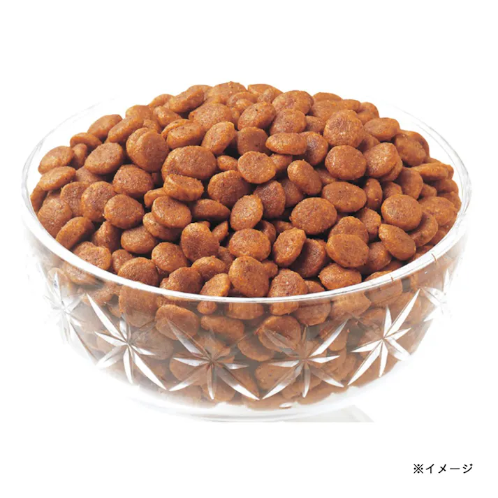 チャオ すごい乳酸菌 クランキー まぐろ節味 22g×5袋入り