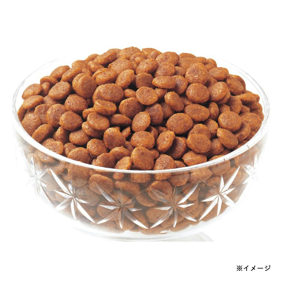 ココスヤシ　斑入り　激レア❗ 乳酸菌クランキーBOXまぐろ節バラエティ | キャットフード 通販