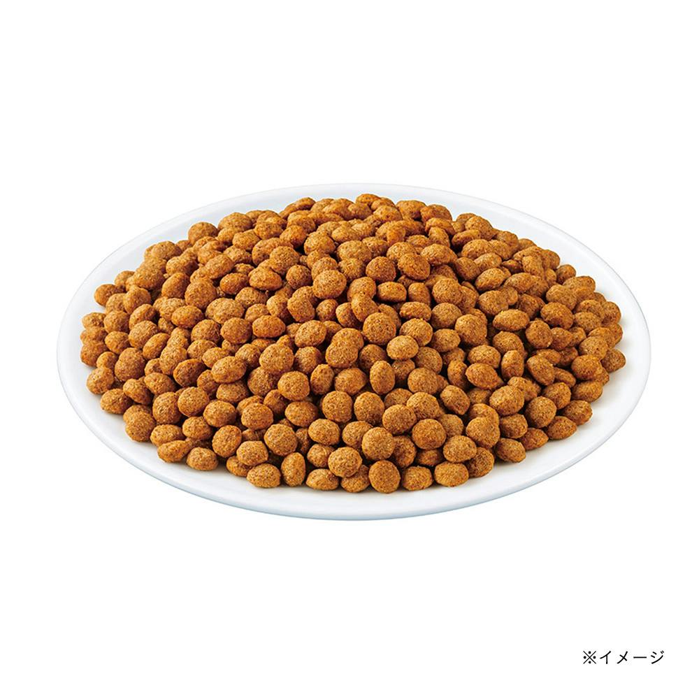 いなば クランキー 低脂肪 総合栄養食 ビーフ味 鶏だし仕立て 700g 10袋 Amazon.co.jp: いなば 低脂肪クランキー 鶏だし ビーフ味 700g