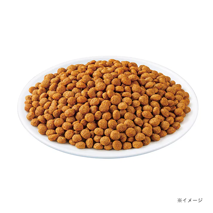 いなば 低脂肪クランキー 鶏だしビーフ味 700g