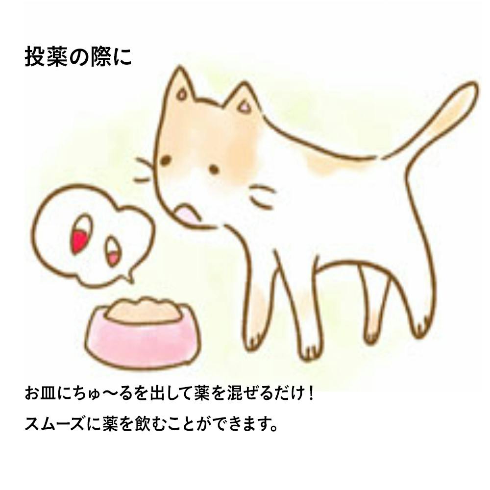 がるちゅーさん専用 CIAO ちゅ～る とりささみバラエティ 40本 | おやつ（猫） 通販