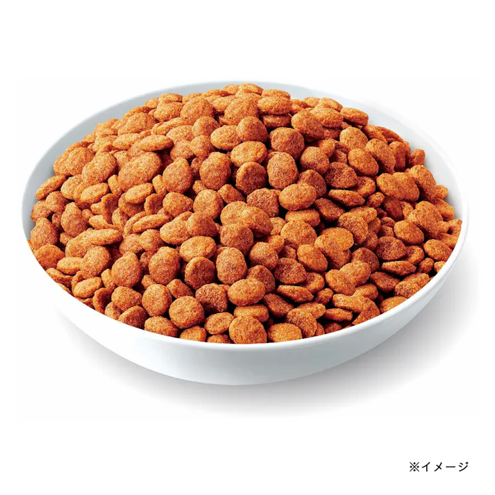 いなば すごい乳酸菌 クランキー ビーフ味 190g×4袋