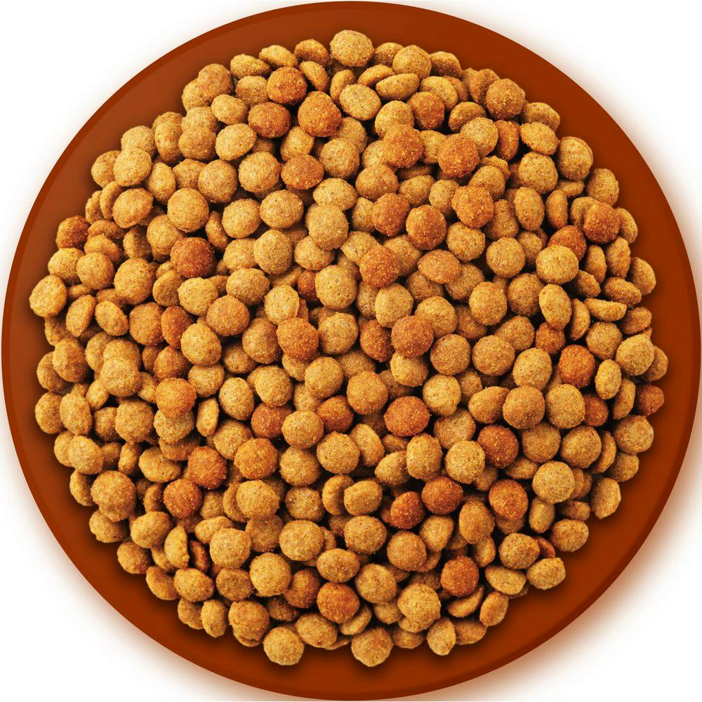 いなば クランキー 低脂肪 総合栄養食 ビーフ味 鶏だし仕立て 700g 10袋 Amazon.co.jp: いなば 低脂肪クランキー 鶏だし ビーフ味 700g