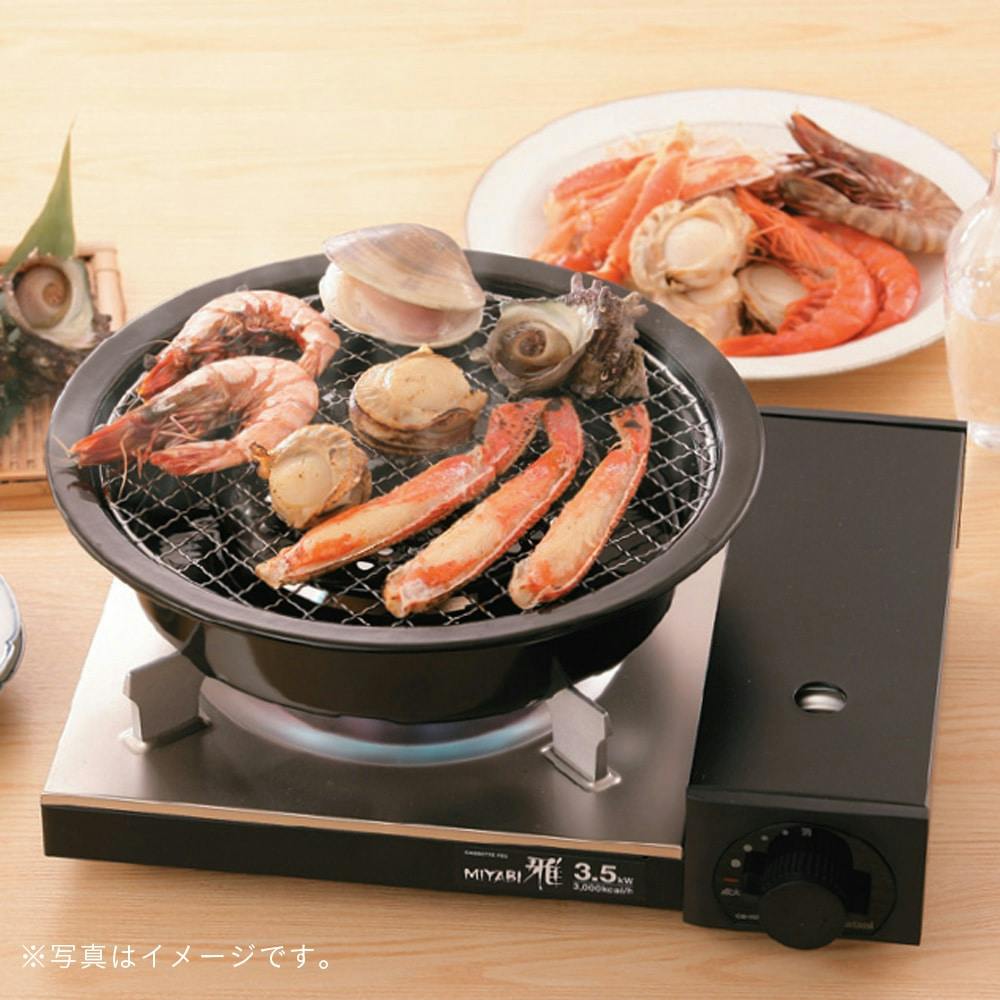 10枚 平網 シンポ 28cm 焼き肉 焼網 バーベキュー網 ステンレス 平型 