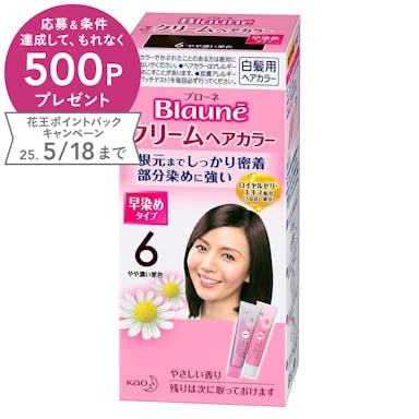 M2_花王 ブローネ クリームヘアカラー 6