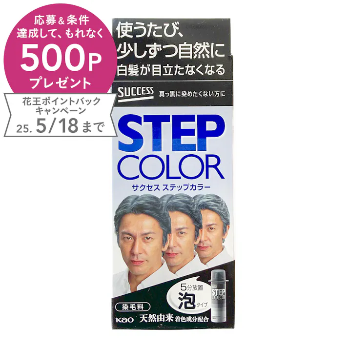 サクセス ステップカラー