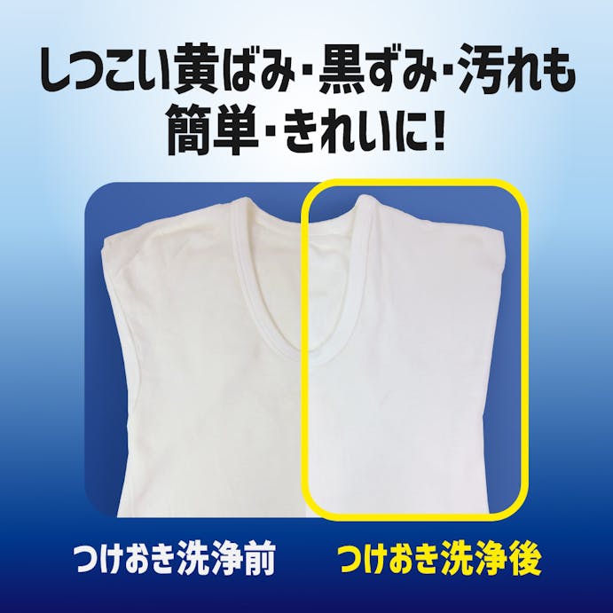 花王 ワイドハイター PRO 強力分解パウダー 詰替 450g