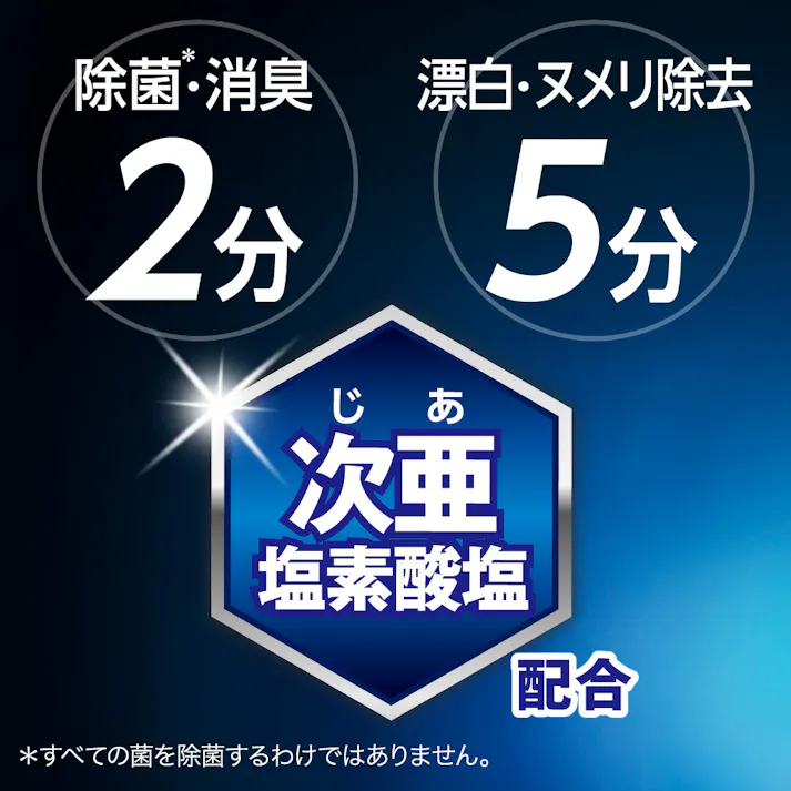 キッチン泡ハイター 業務用 本体 1000ml
