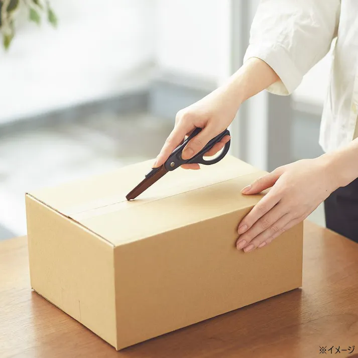 コクヨ 2Wayハサミ ハコアケ チタン