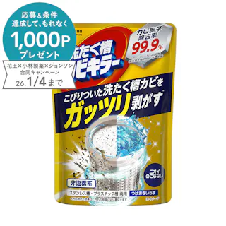 ガッツリ剥がす 洗濯槽カビキラー 250g