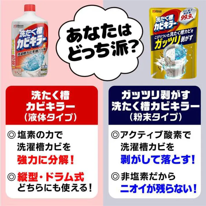 ガッツリ剥がす 洗濯槽カビキラー 250g